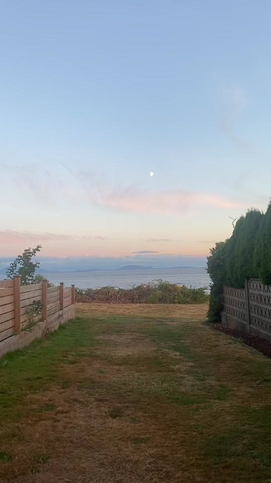 Post 5 by bridget ! on TikTok (video)