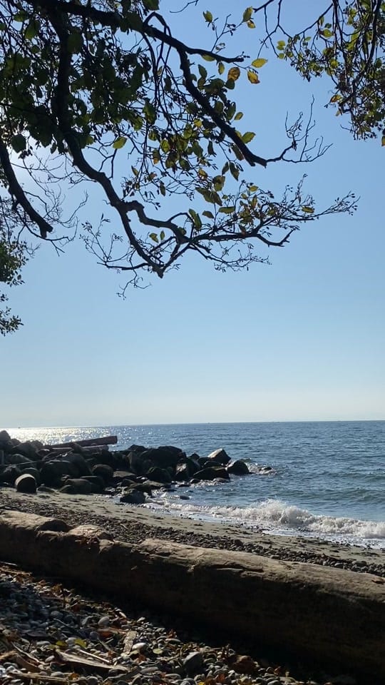 Post 2 by bridget ! on TikTok (video)