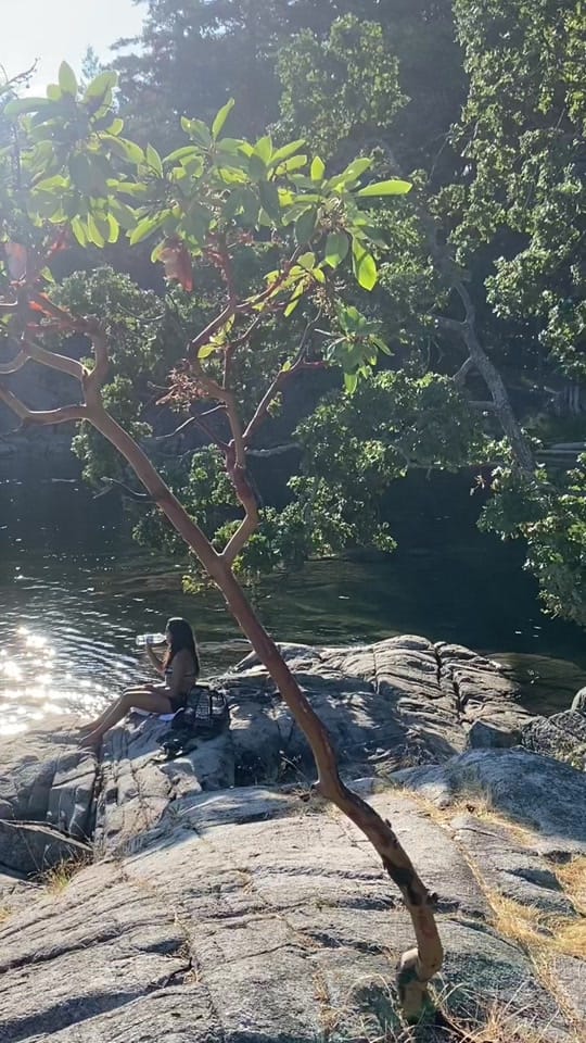 Post 8 by bridget ! on TikTok (video)