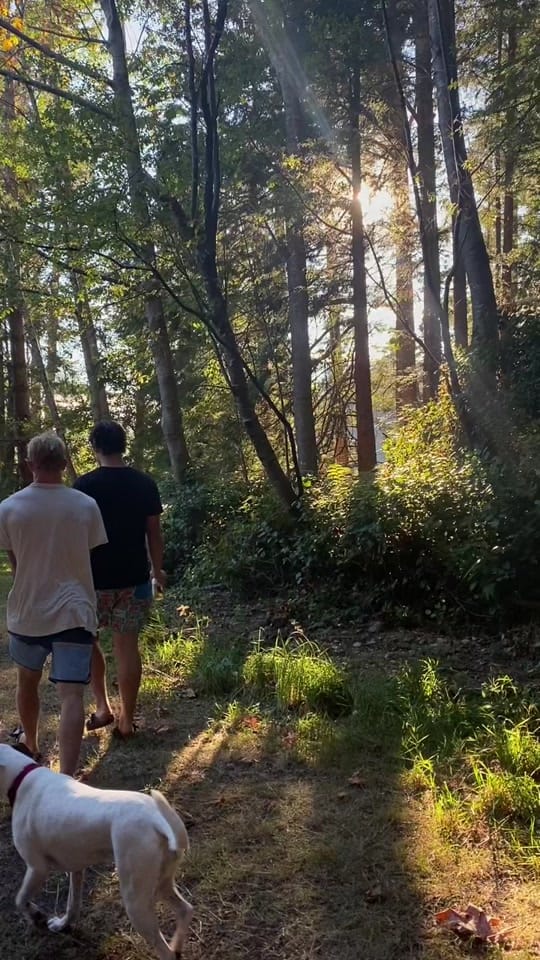 Post 6 by bridget ! on TikTok (video)