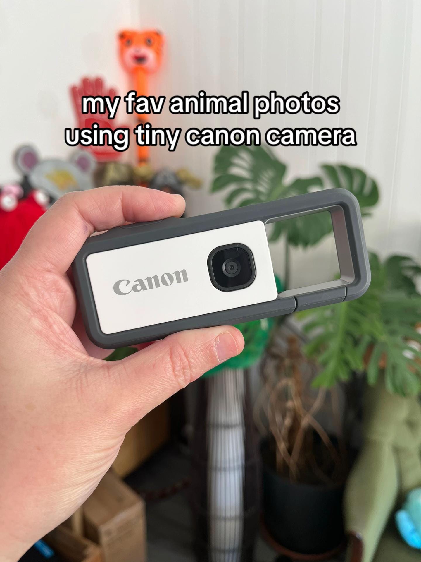 Post 10 by Alex Fanny Darling Davis on TikTok (video)