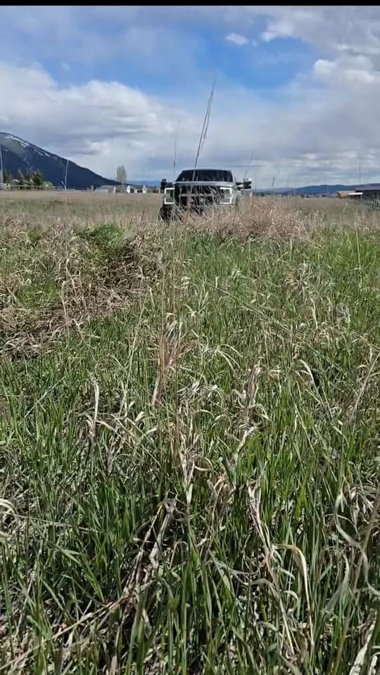 Post 7 by Sal Gutierrez on TikTok (video)