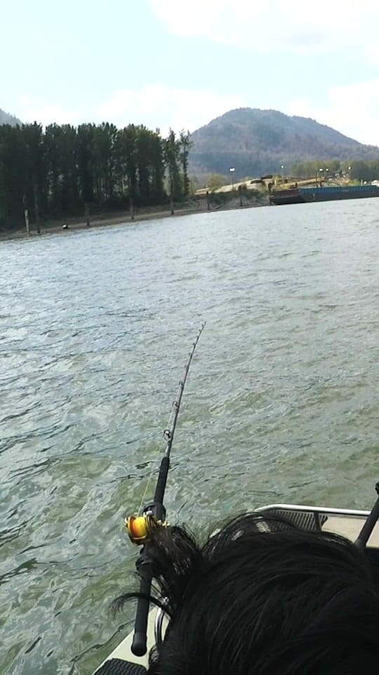 Post 5 by Fishing with Rod on TikTok (video)