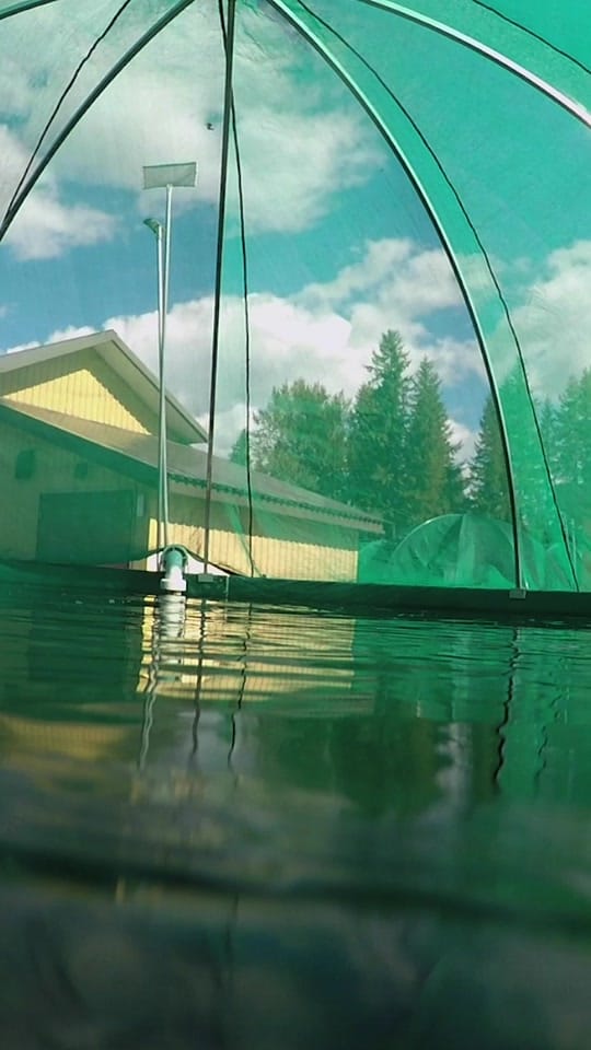 Post 9 by Fishing with Rod on TikTok (video)