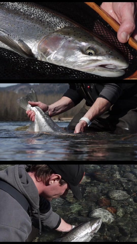 Post 1 by Fishing with Rod on TikTok (video)