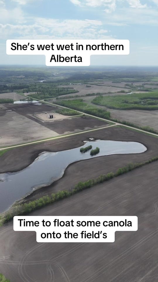 Post 7 by NORTH OF 55 PRODUCTIONS🇨🇦📸 on TikTok (video)