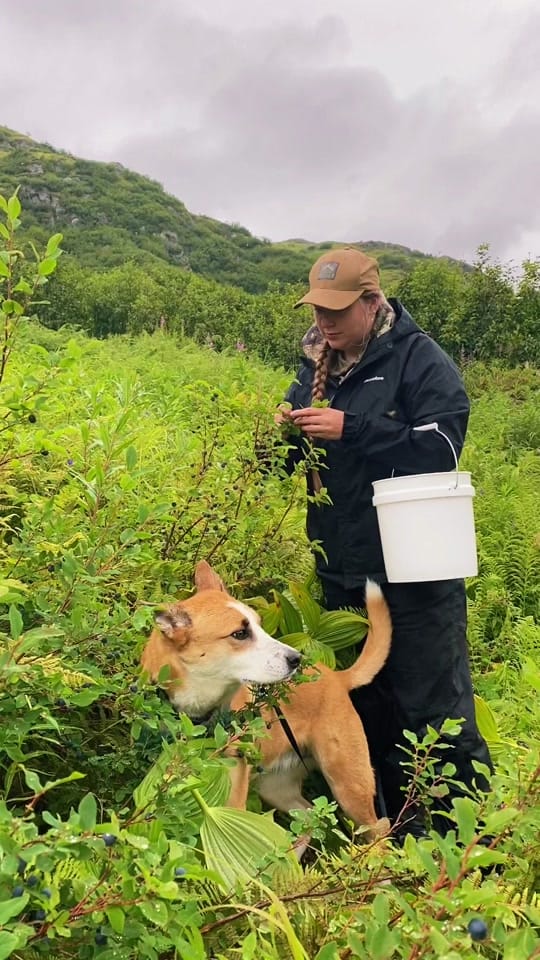 Post 4 by Sarah Bodkin Smith on TikTok (video)