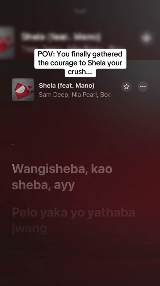Post 4 by ForTheLoveOfMusic on TikTok (video)