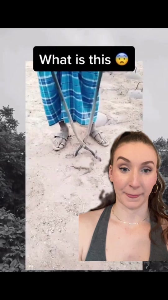 Post 10 by Lindsay Ivan👻 on TikTok (video)