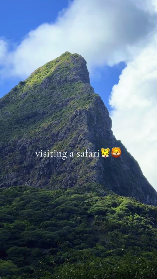 Post 4 by Emma Jane :*˚:✧ on TikTok (video)