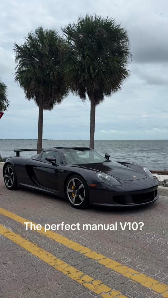 Post 6 by We Are CURATED on TikTok (video)