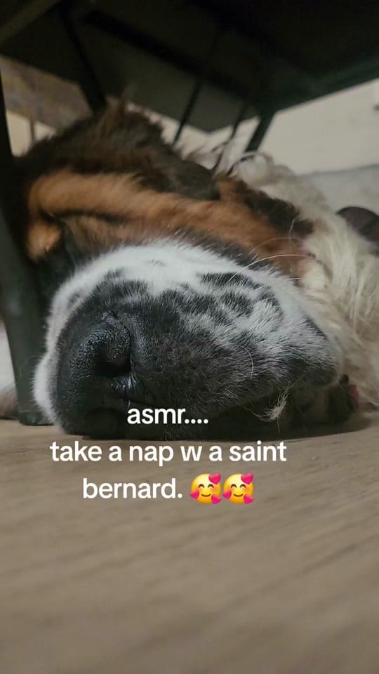 Post 5 by NOTdanilee914 on TikTok (video)