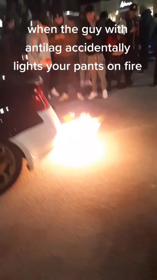 Post 10 by Anabolic Shelly on TikTok (video)