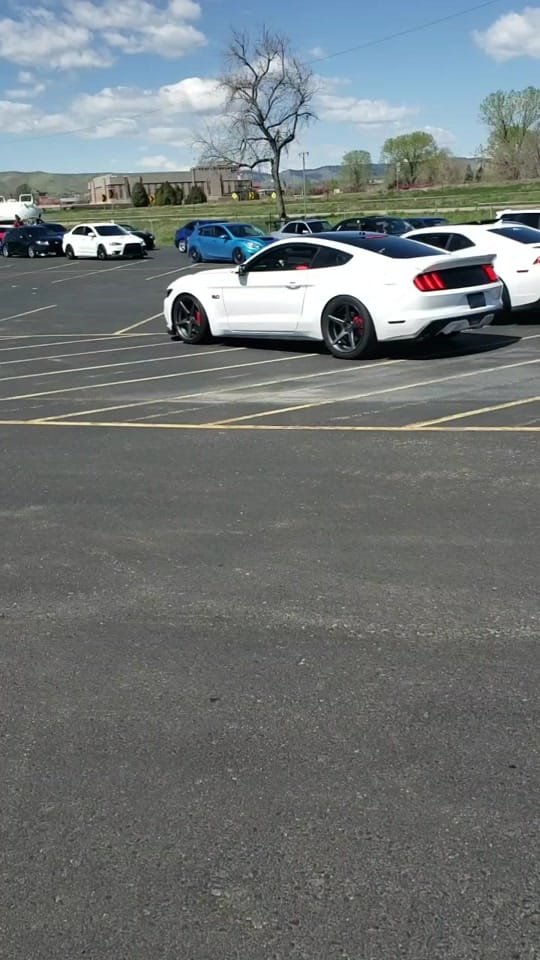 Post 1 by sickgt350 on TikTok (video)