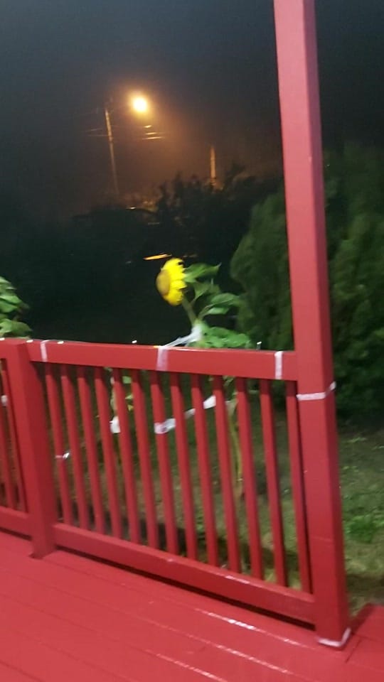 Post 5 by Amanda Joy Templeman on TikTok (video)