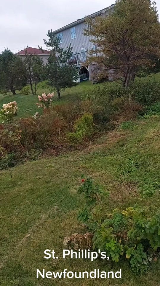 Post 6 by Amanda Joy Templeman on TikTok (video)