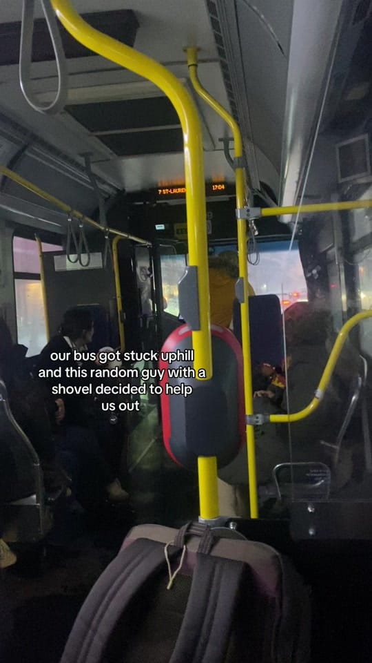 Post 4 by malikah on TikTok (video)