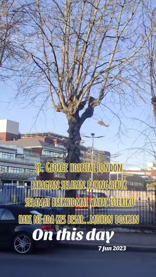 Post 3 by misailentikmalaysia007 on TikTok (video)