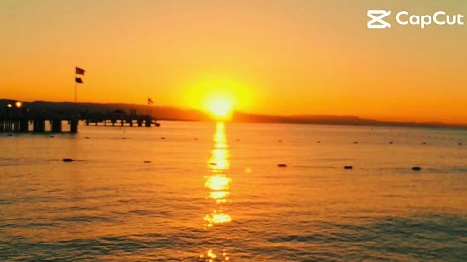 Post 7 by ShaneScarth on TikTok (video)