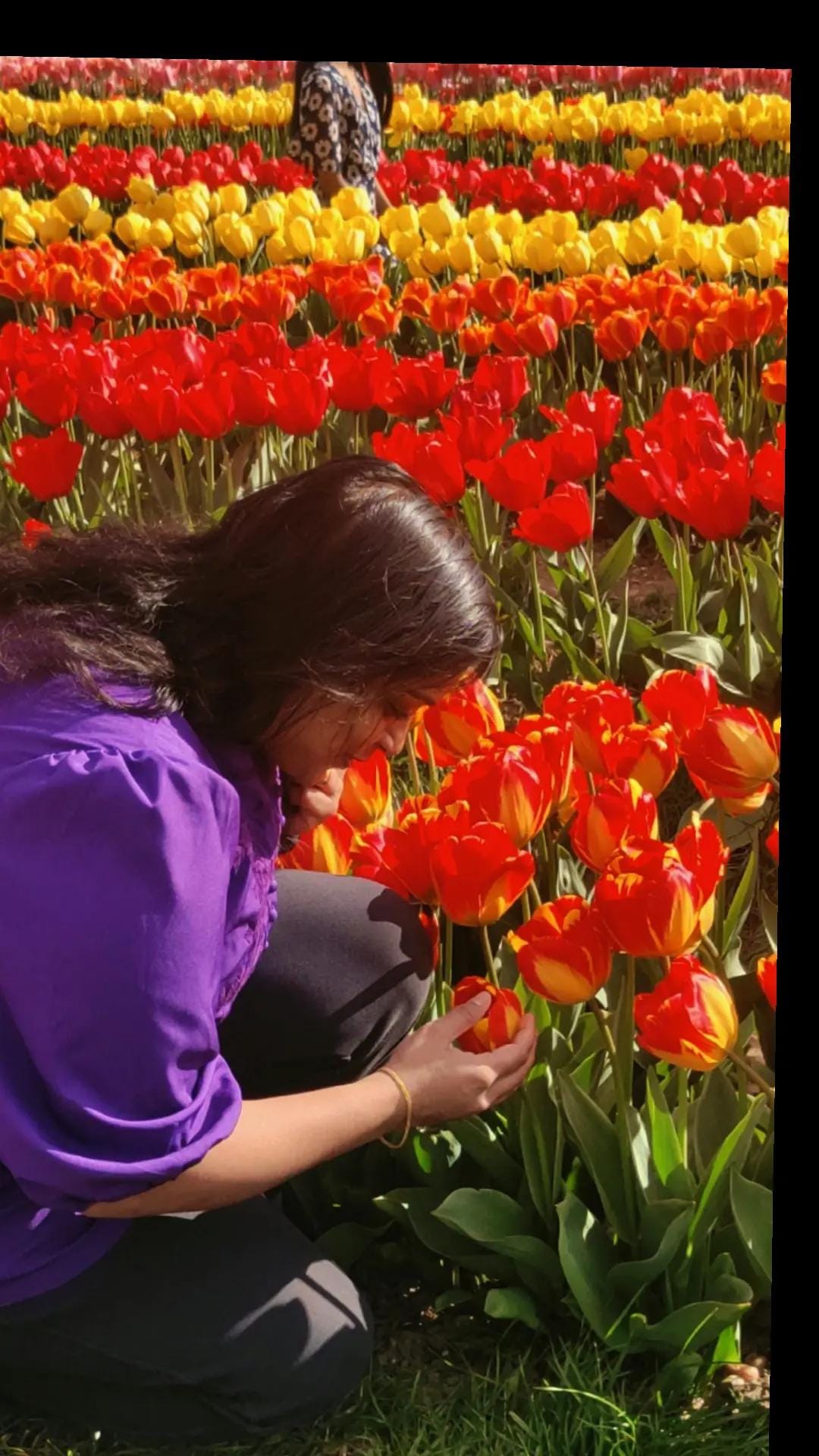 Post 8 by Jayashree G on TikTok (video)