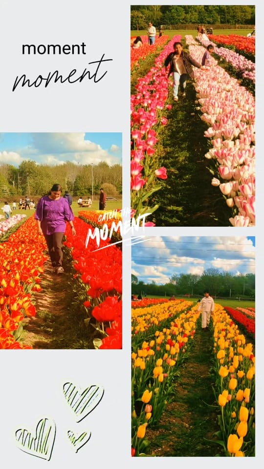 Post 7 by Jayashree G on TikTok (video)