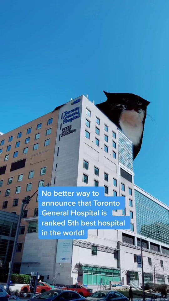 Post 3 by University Health Network on TikTok (video)