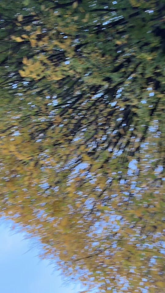 Post 2 by Varchas Swamy on TikTok (video)