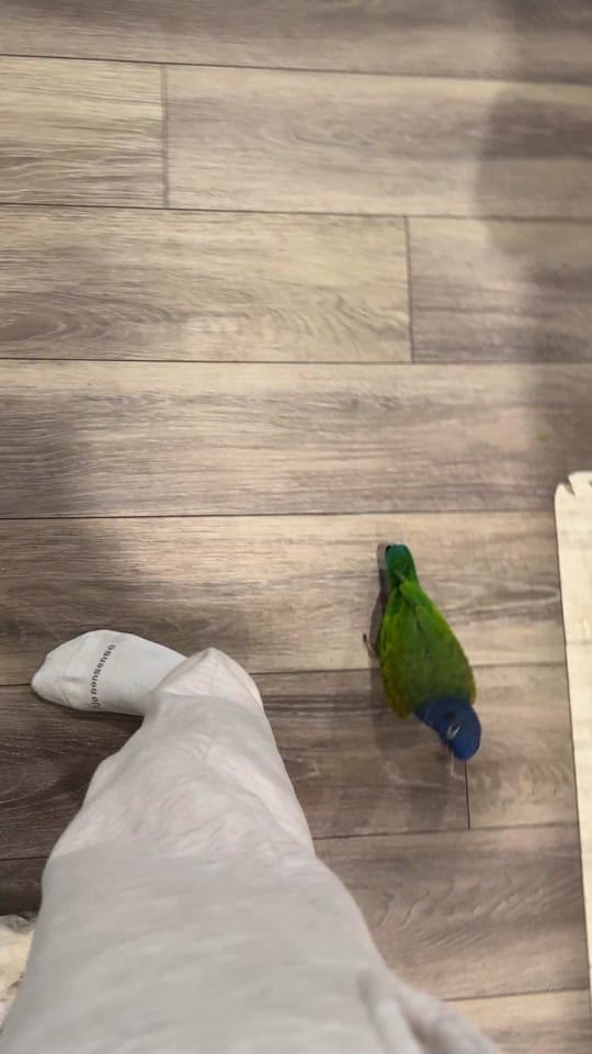 Post 3 by Carmen Ocasio on TikTok (video)