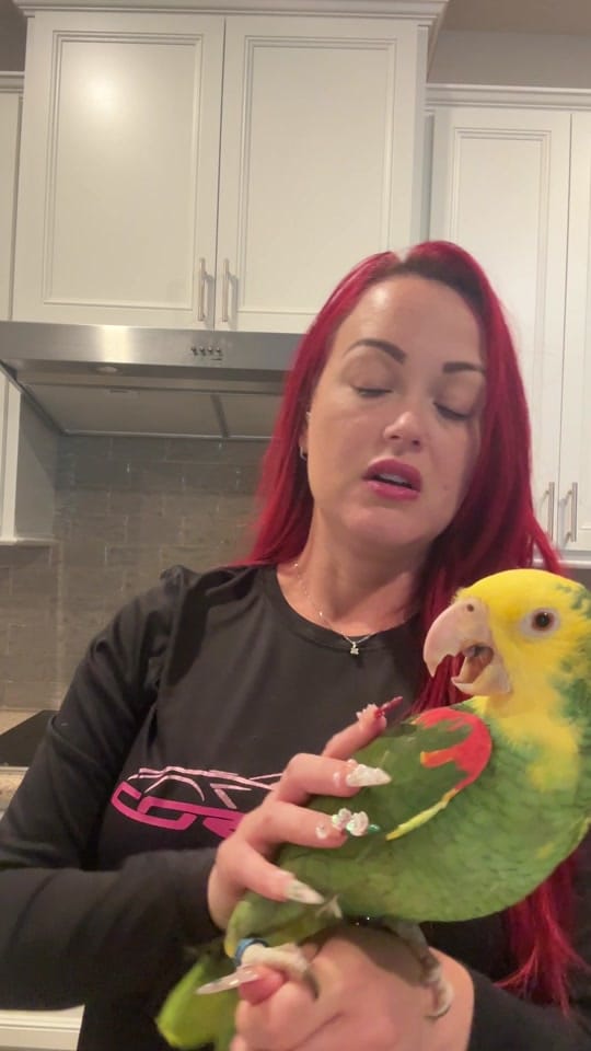 Post 10 by Carmen Ocasio on TikTok (video)