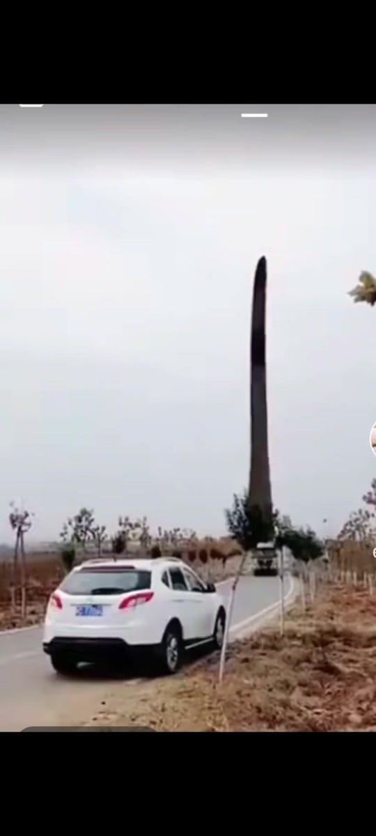 Post 9 by crazy wolf on TikTok (video)