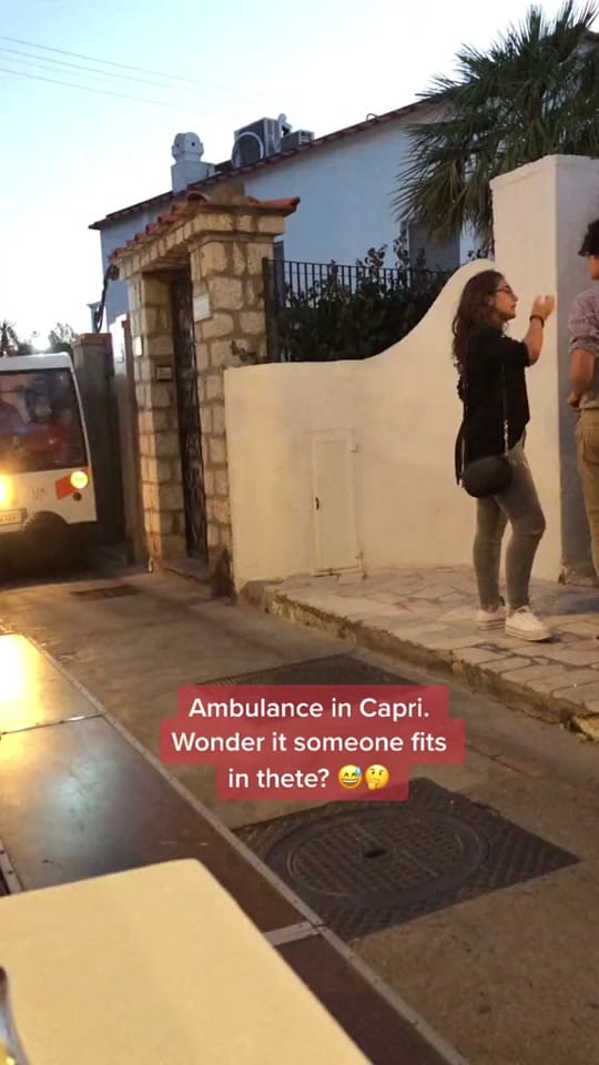 Post 8 by crazy wolf on TikTok (video)