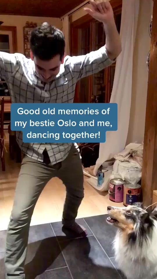 Post 2 by Vincent Dostaler on TikTok (video)
