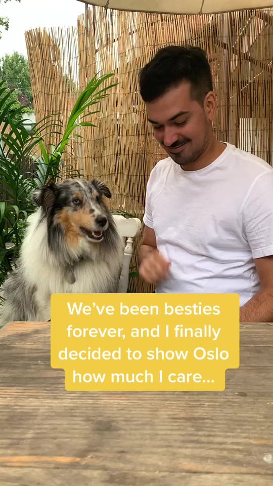 Post 1 by Vincent Dostaler on TikTok (video)