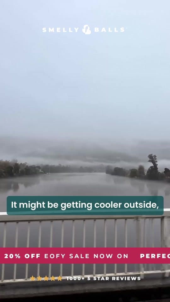 Post 4 by Smelly Balls® on TikTok (video)