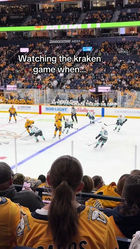 Post 10 by 🌸⛸️Megan🩷🍓 on TikTok (video)