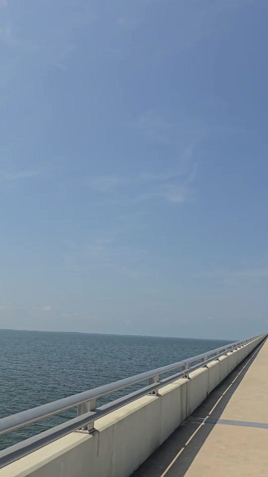 Post 3 by Florida Frank on TikTok (video)
