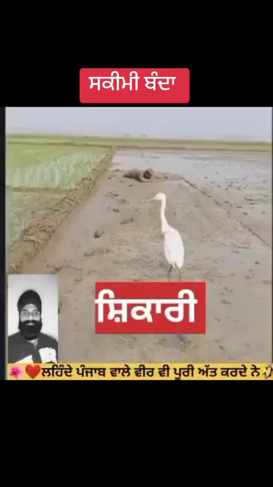 Post 9 by Raj aman on TikTok (video)