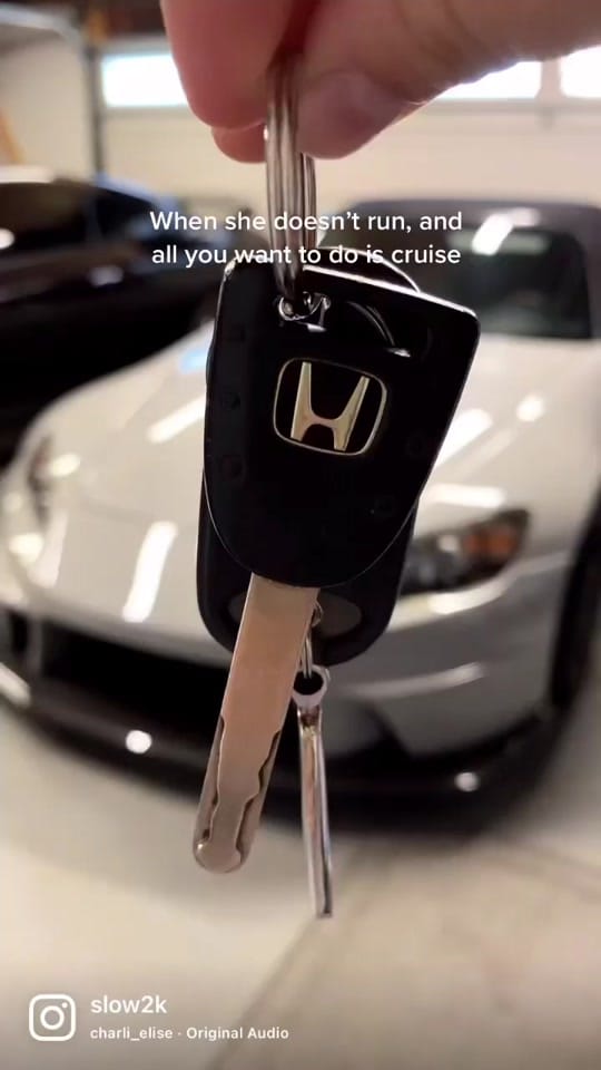 Post 7 by Lex ☻ on TikTok (video)