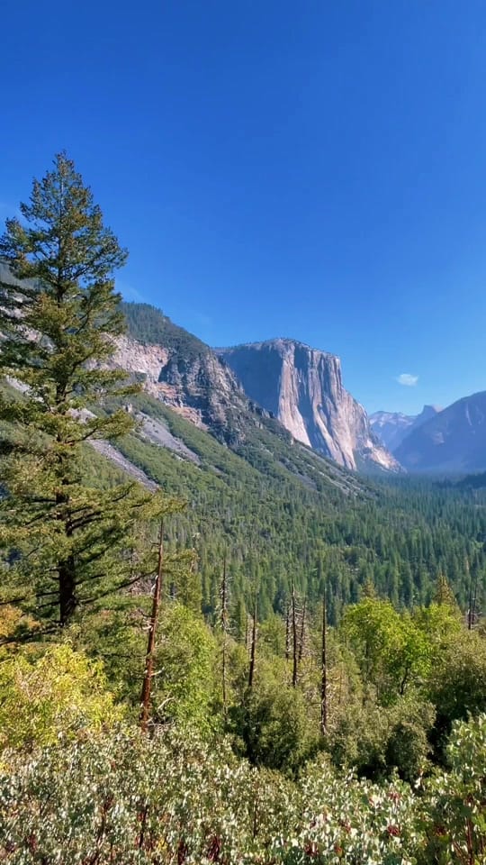Post 8 by Lex ☻ on TikTok (video)