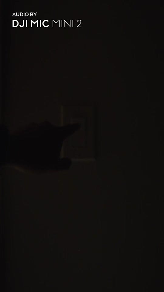 Post 3 by Jay Daniels on TikTok (video)