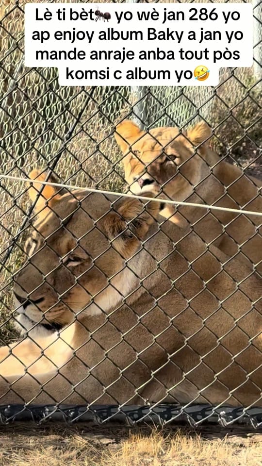Post 4 by F.Marcus509 🇭🇹 on TikTok (video)