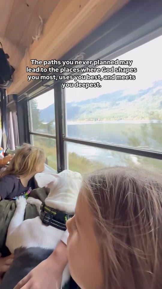 Post 2 by wanderin.wildflower on TikTok (video)