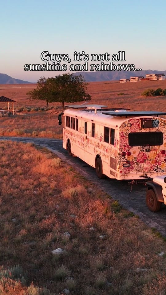 Post 1 by wanderin.wildflower on TikTok (video)
