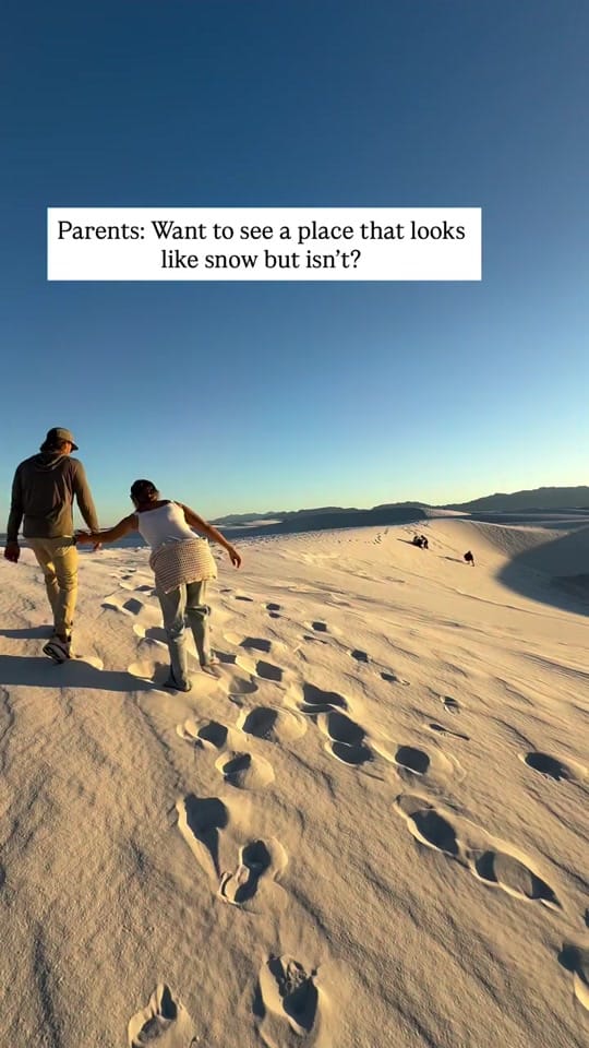 Post 7 by wanderin.wildflower on TikTok (video)
