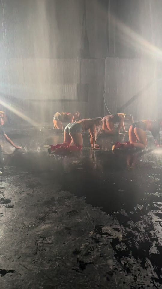 Post 8 by freyadances on TikTok (video)