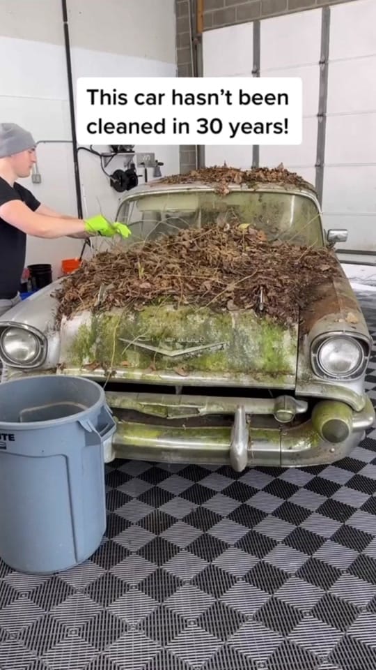 Post 10 by RealCar62 on TikTok (video)