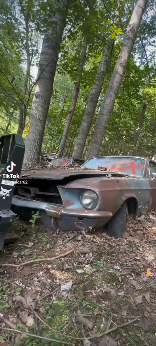 Post 3 by RealCar62 on TikTok (video)