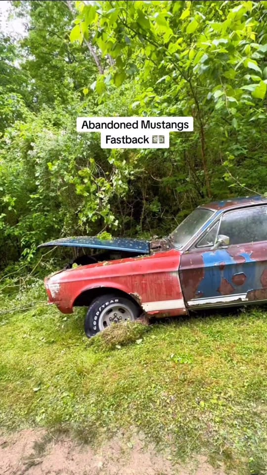 Post 7 by RealCar62 on TikTok (video)