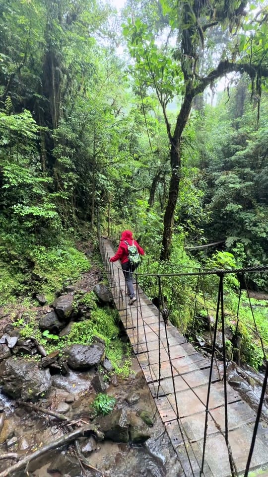 Post 1 by Lost with Lydia on TikTok (video)