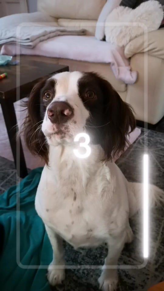 Post 1 by LADY G on TikTok (video)